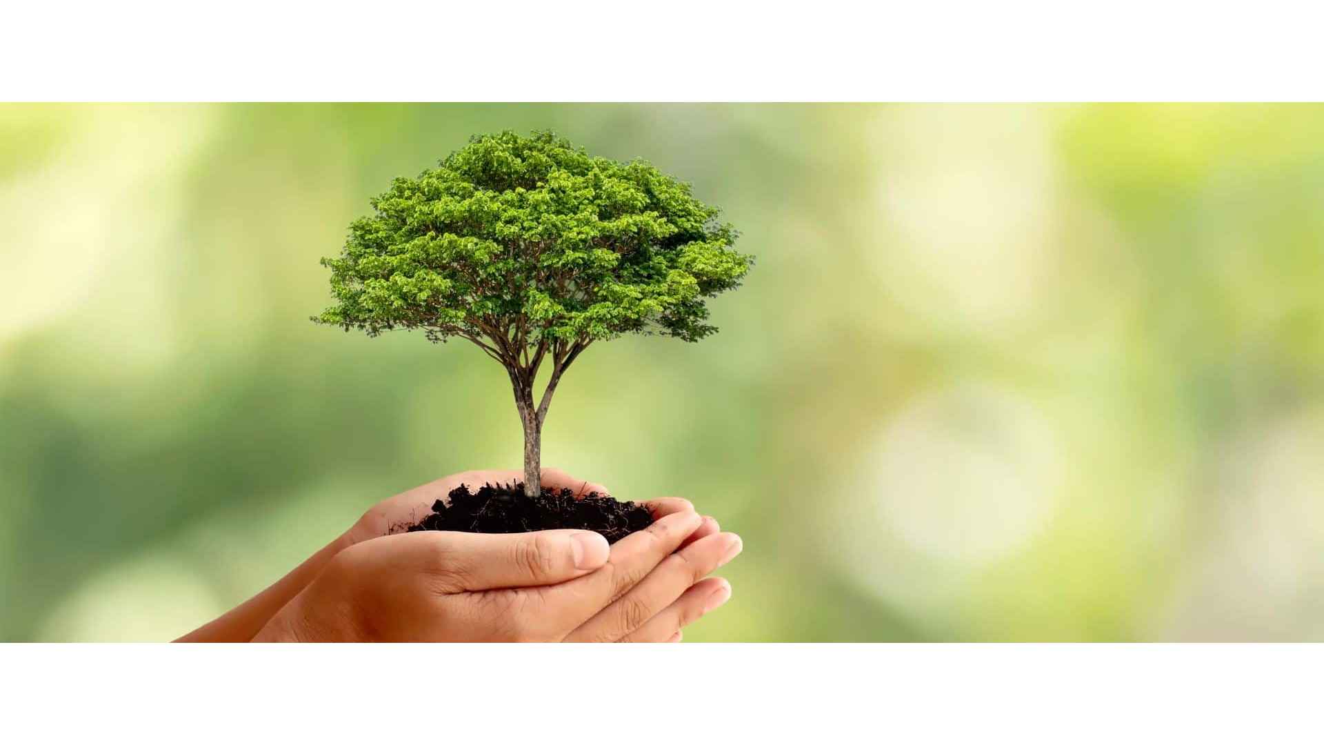Home furniture economically sustainable