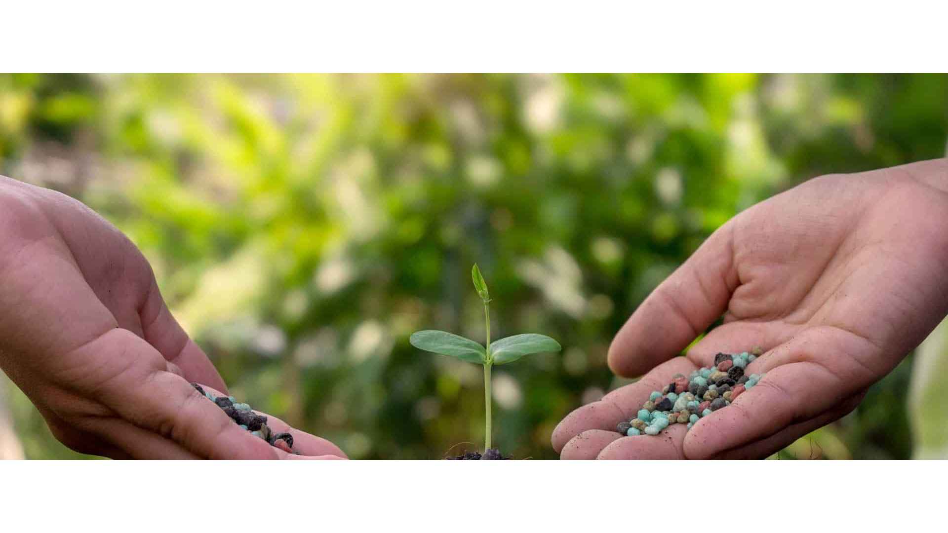 sustainable furniture
